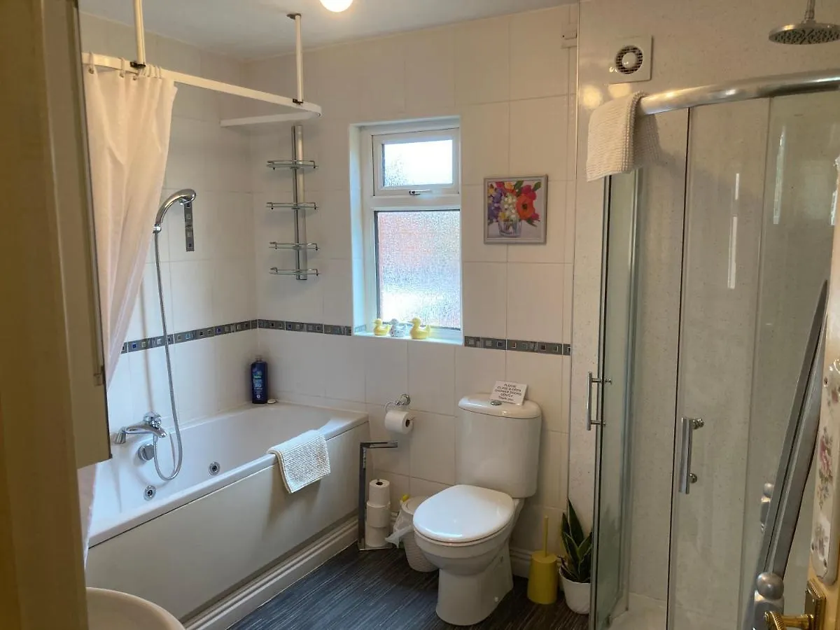 Mountroyal Victorian Self Catering Apartment 2  Belfast