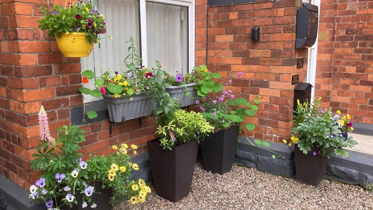 Mountroyal Victorian Self Catering Apartment 2 Belfast