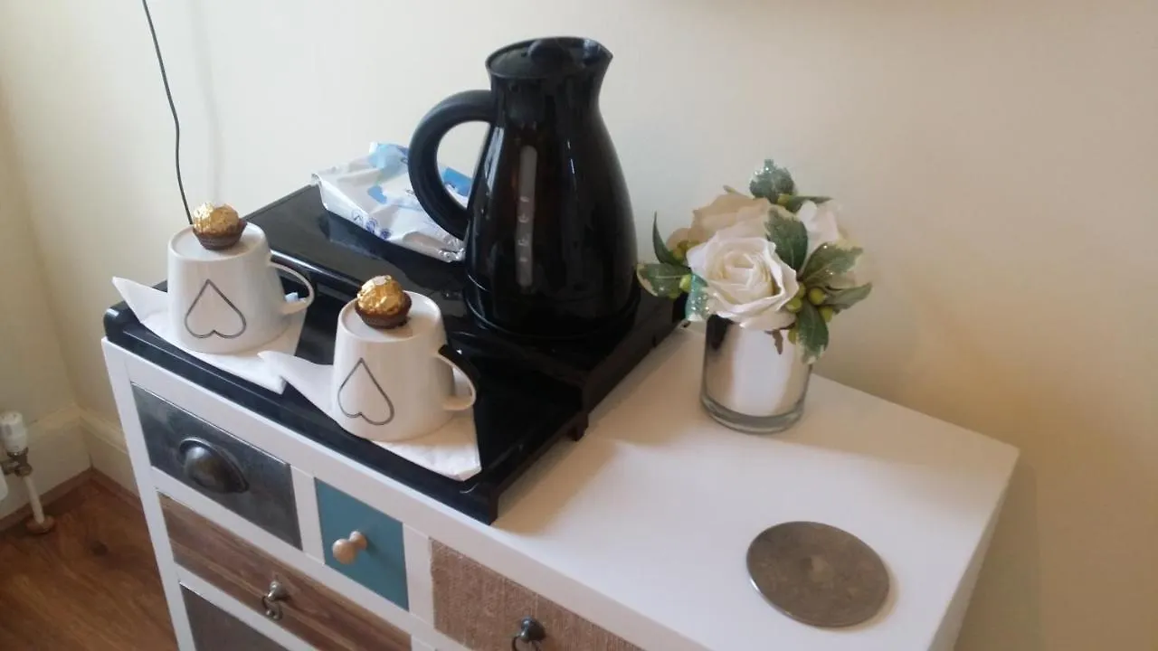 Mountroyal Victorian Self Catering Apartment 2 Belfast